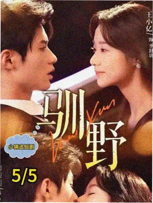 免费高清电视剧在线观看《半盏茶凉》